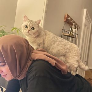 Meet your Posher, Nida